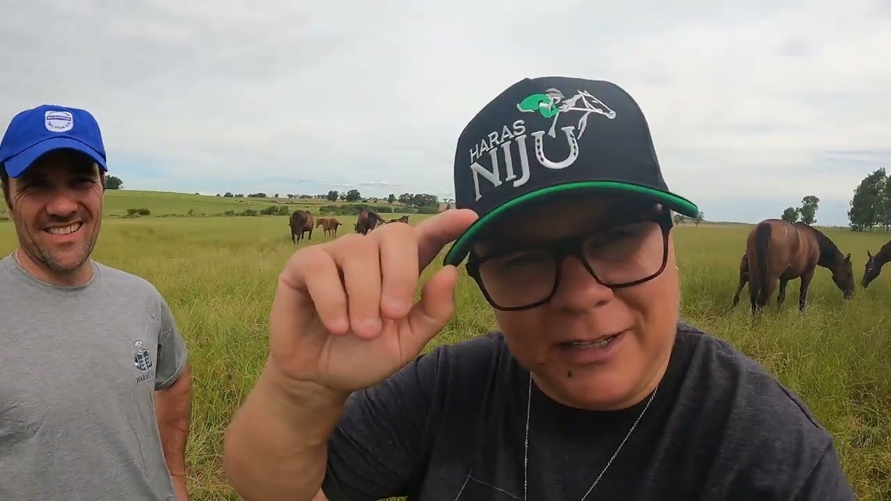 Haras Nijú, 724 falando de turfe