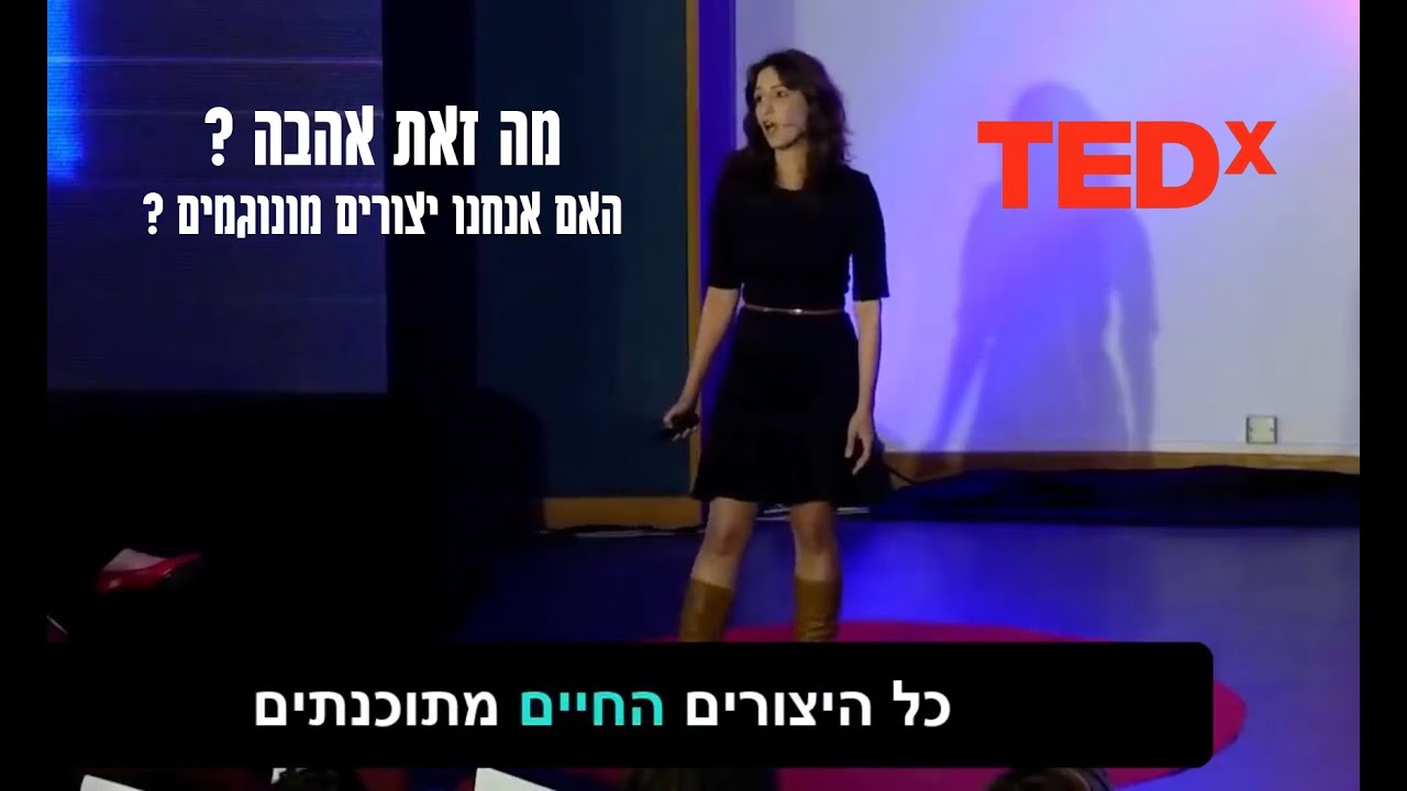 מה זאת אהבה ? עתיד המונוגמיה והמשפחה במאה ה-21 TedX