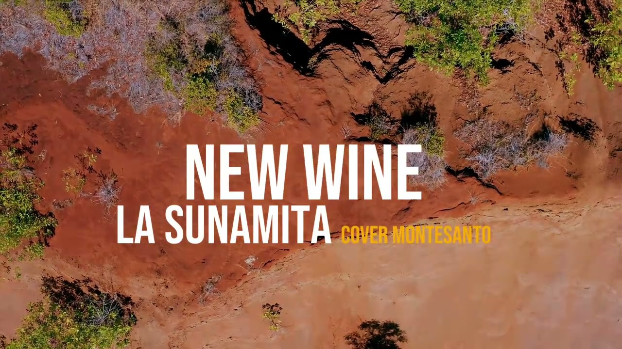 NEW WINE // La sunamita 😭😭 COVER MONTE SANTO