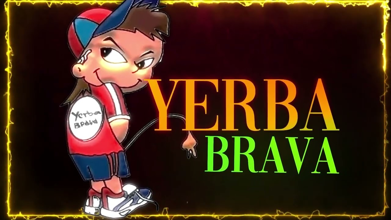 YERBA BRAVA – Mix de Cumbias Villeras Enganchados 🎶 Los Mejores Temas