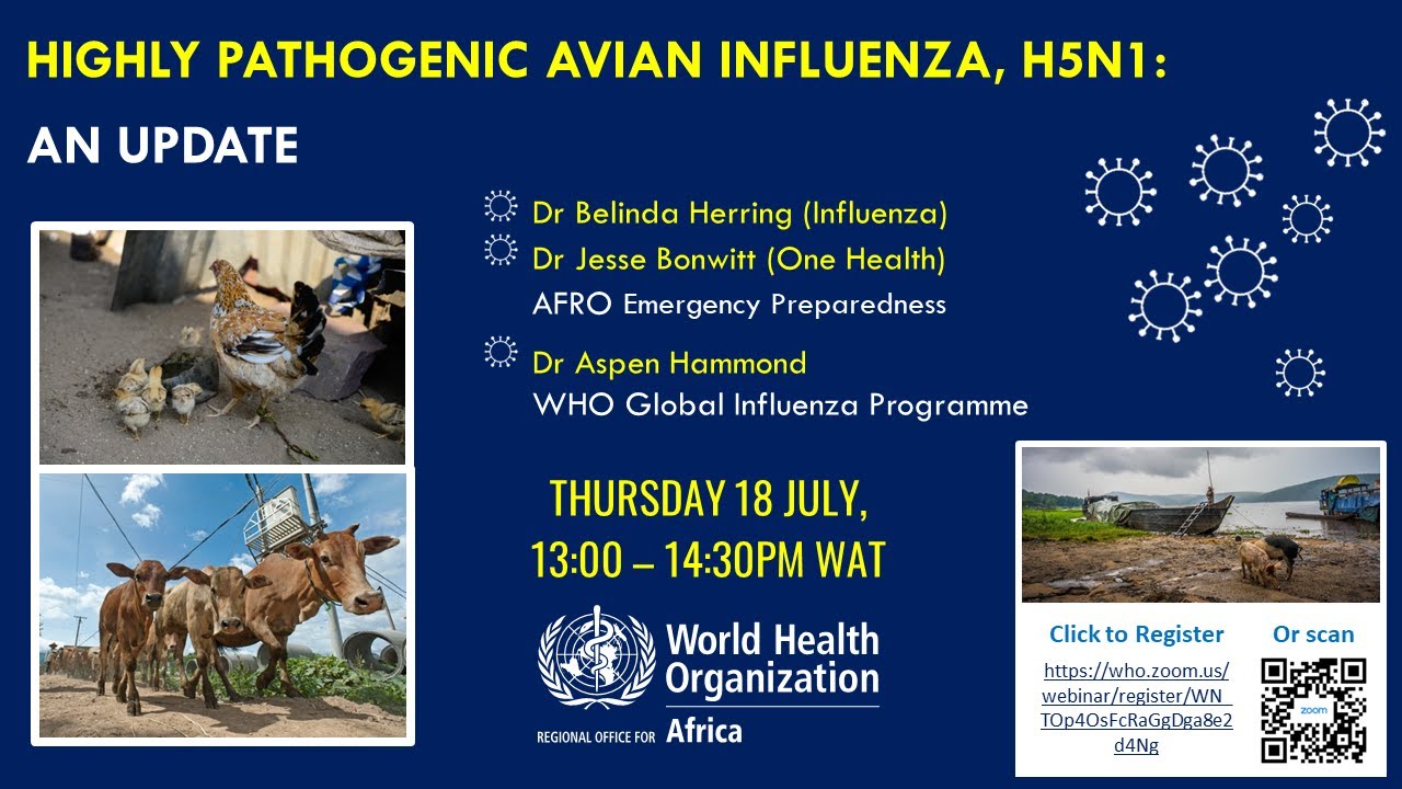 Highly pathogenic avian influenza, H5N1:  An update