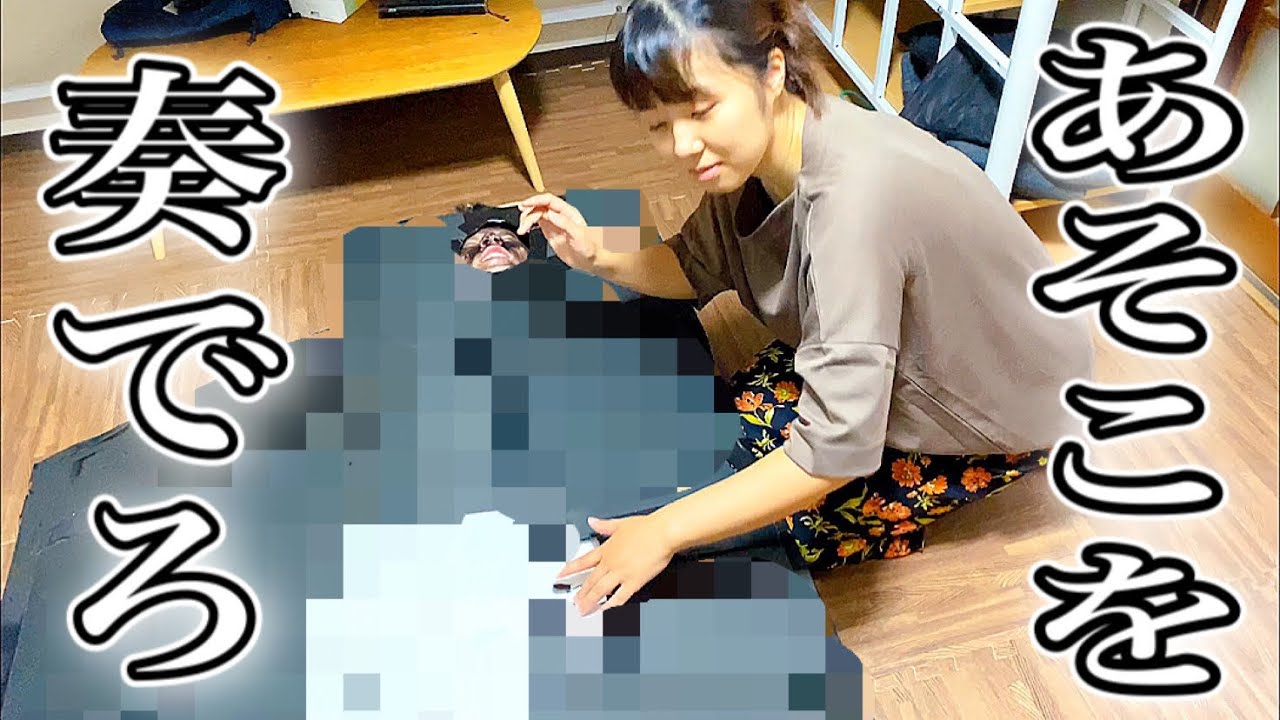 ドッキリ「ピアノになってしまった峯のアソコを奏でて復活させろwww」ニッキューナナ
