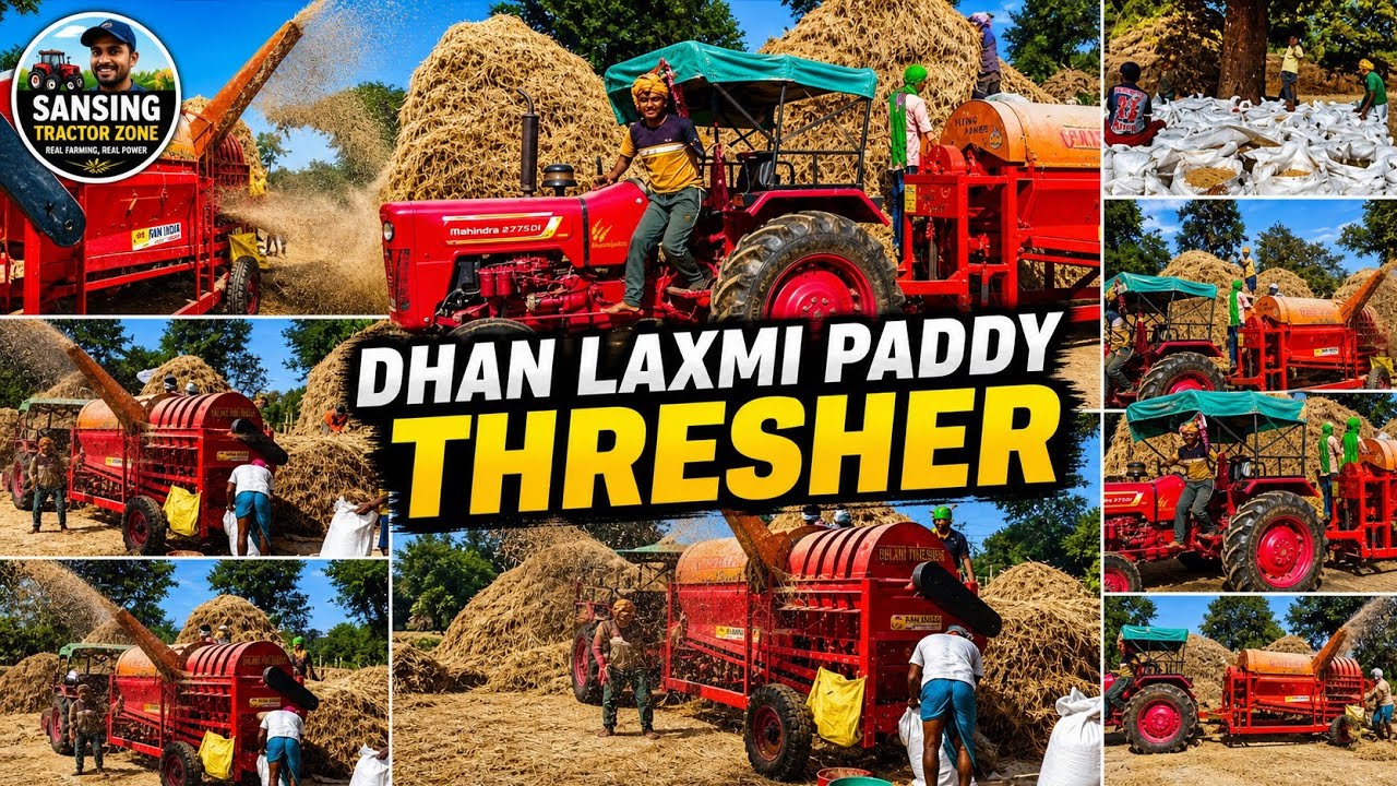 Powerful Dhan Laxmi Paddy Thresher Action | Tractor Thresher Work | Paddy Farming video 