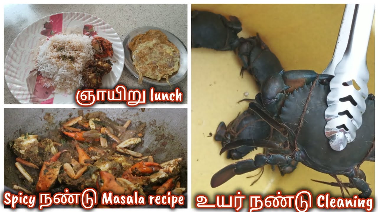 உயிர் நண்டு சுத்தம் செய்வது எப்படி? 🦀 காரசாரமான நண்டு மசாலா | Village Style Crab Masala #viralvideo
