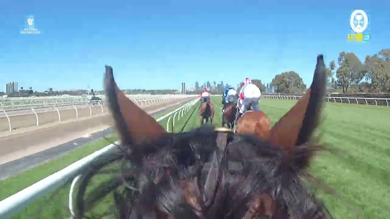 Director's Cut of the 2024 Lexus Melbourne Cup