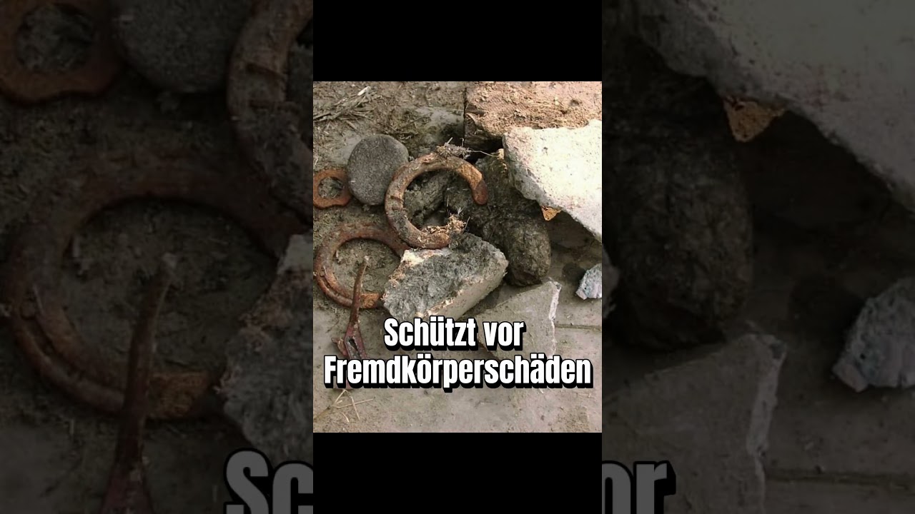 Schneidet Fasern, Feststoffe und sch&uuml;tzt vor Besch&auml;digungen durch Fremdk&ouml;rper: RotaCut von Vogelsang