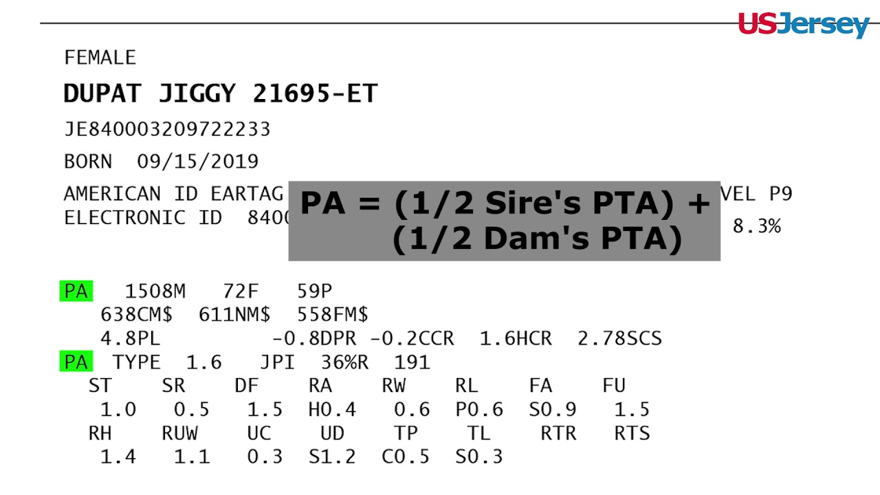 Jersey Learning Center - How to Read a Pedigree