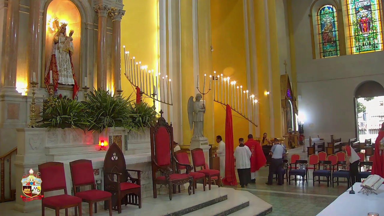 Domingo de Ramos “de la Pasión del Señor” - Inicio de la Semana Mayor