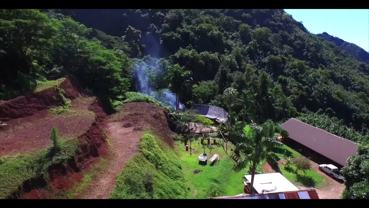 MOOREA - Domaine de 42 hectares enti&egrave;rement viabilis&eacute; avec maison principale et vergers d'avocatiers