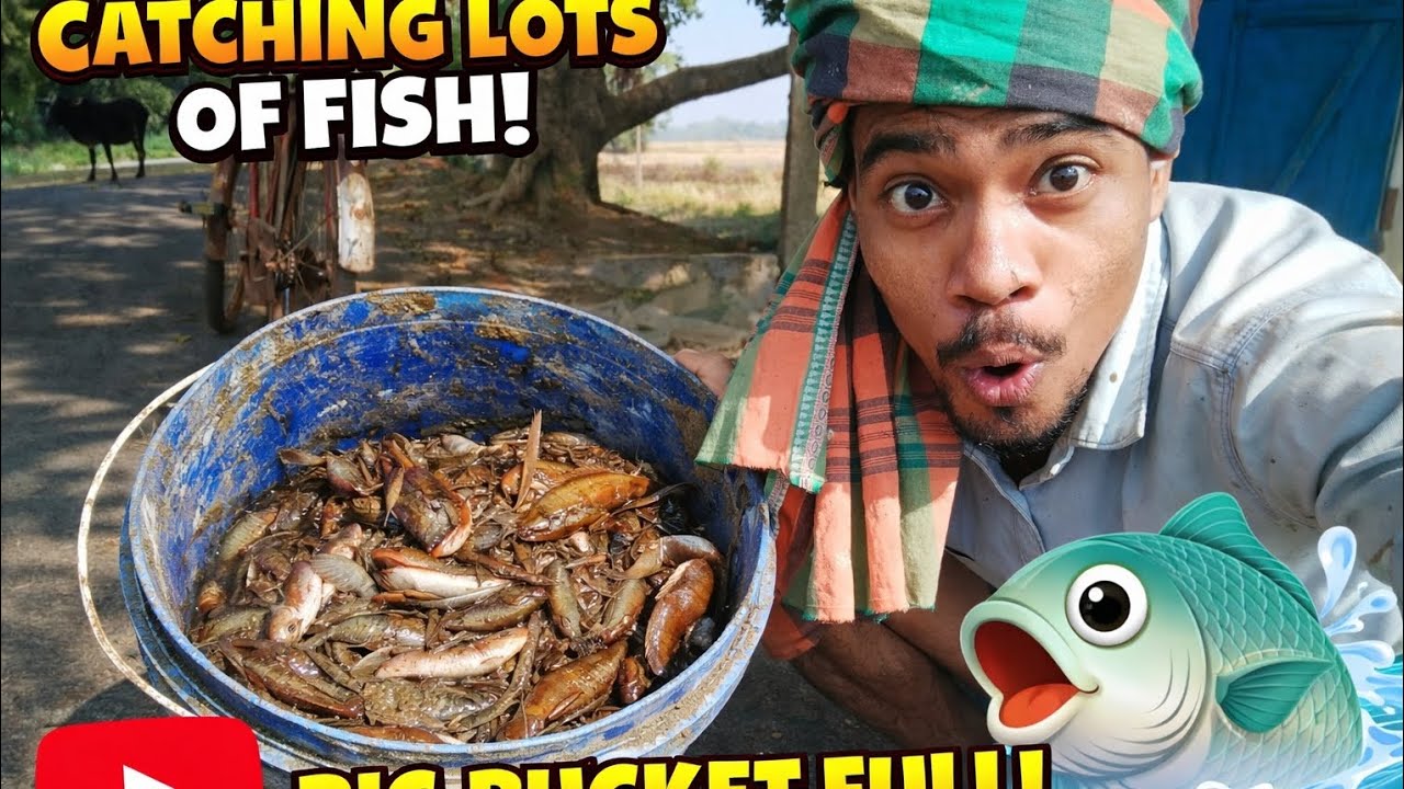 Catching Lots of Fish!Big Bucket Full! 🌝😱😱 #minivlog #youtubeshorts #fishing #villagelife 