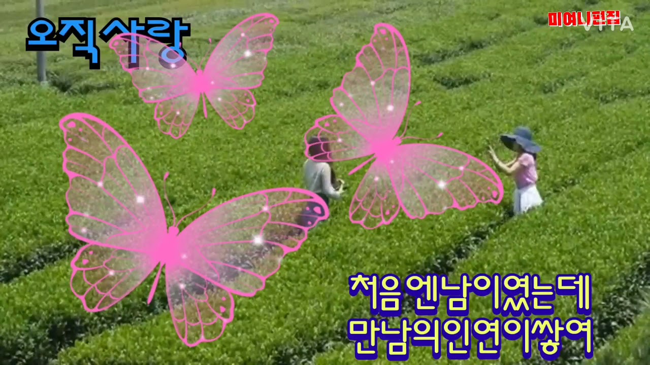 가수.나현재.오직사랑.4번.연속듣기