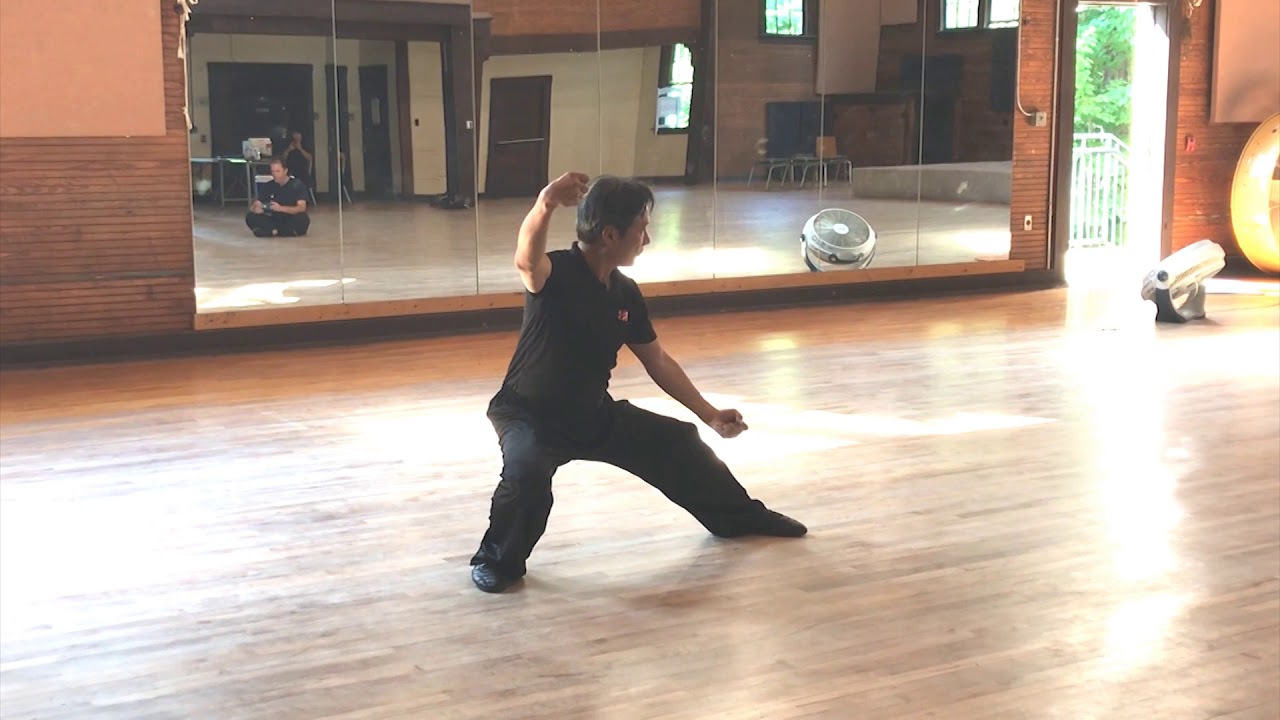 Chen Taiji xin jia 18 postures- Sifu Kam Lee 2019