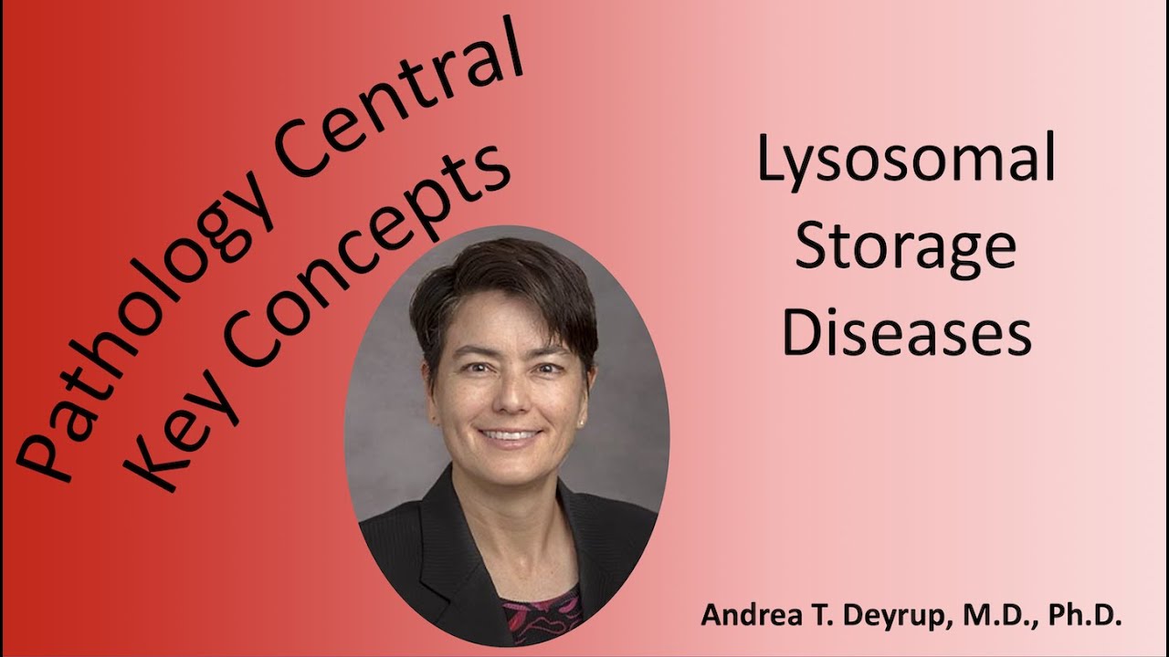 Medical School Pathology: Pathophysiology of Lysosomal Storage Diseases
