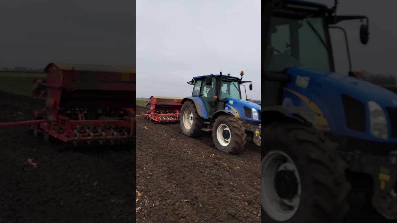 New Holland t5060 i Vaderstad Rapid 300 Siew pszenicy jarej