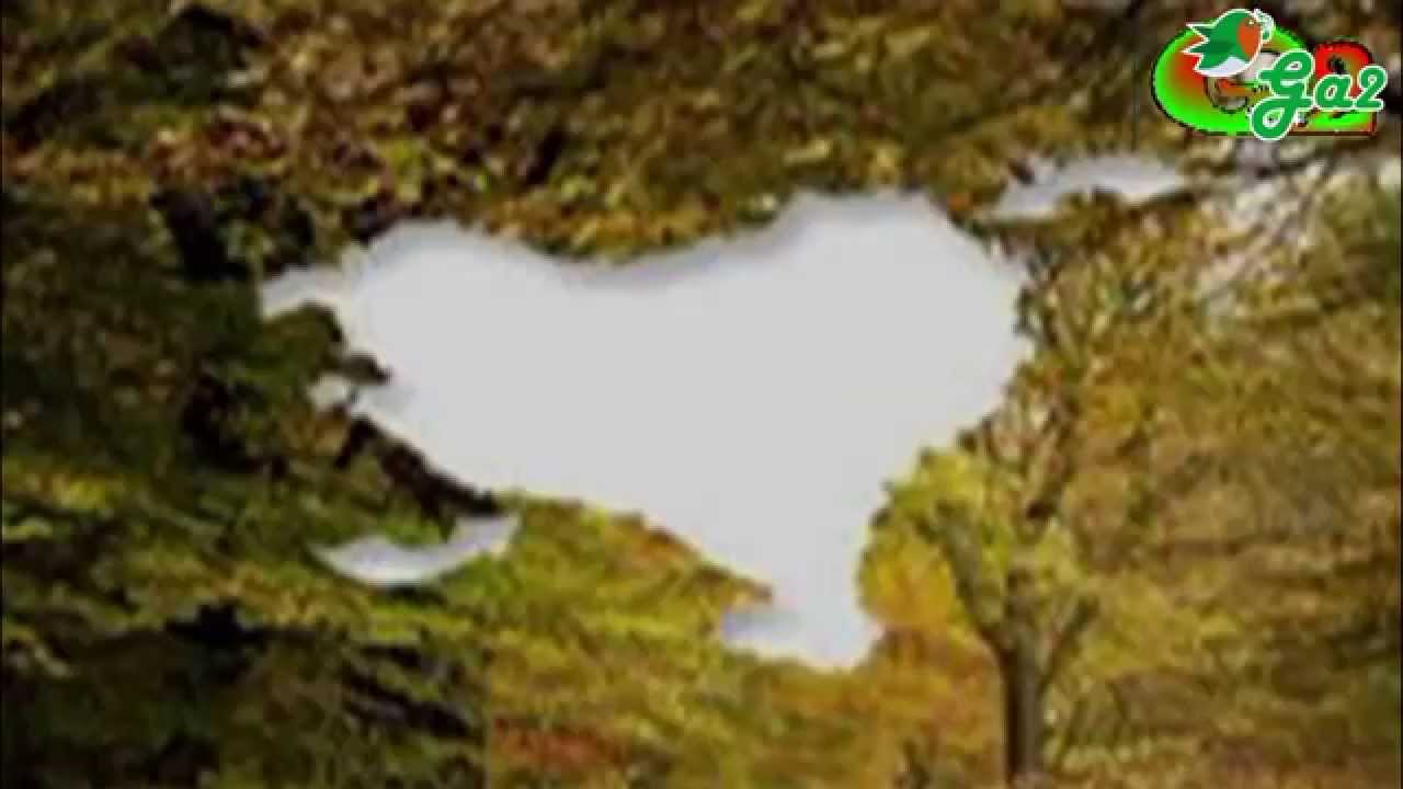 Madril ezagutarazi ANJE DUHALDE