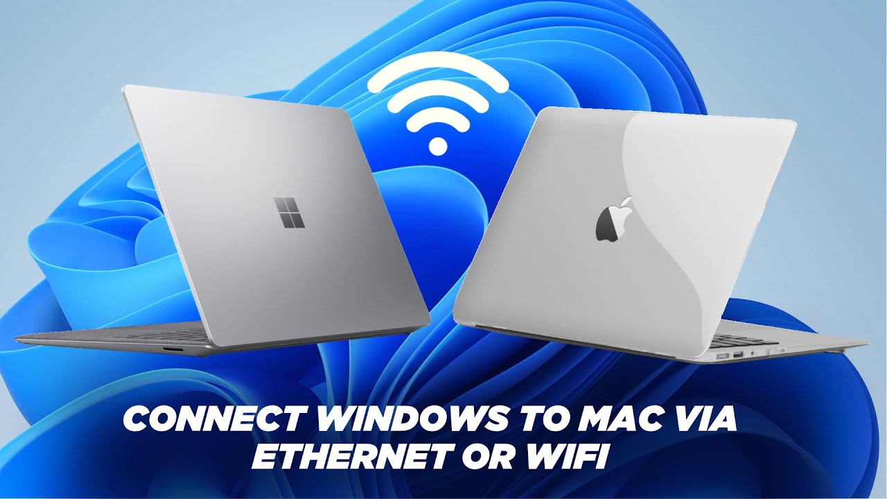 Как обмениваться файлами между компьютерами Windows и Mac | Учебное пособие 2023 года