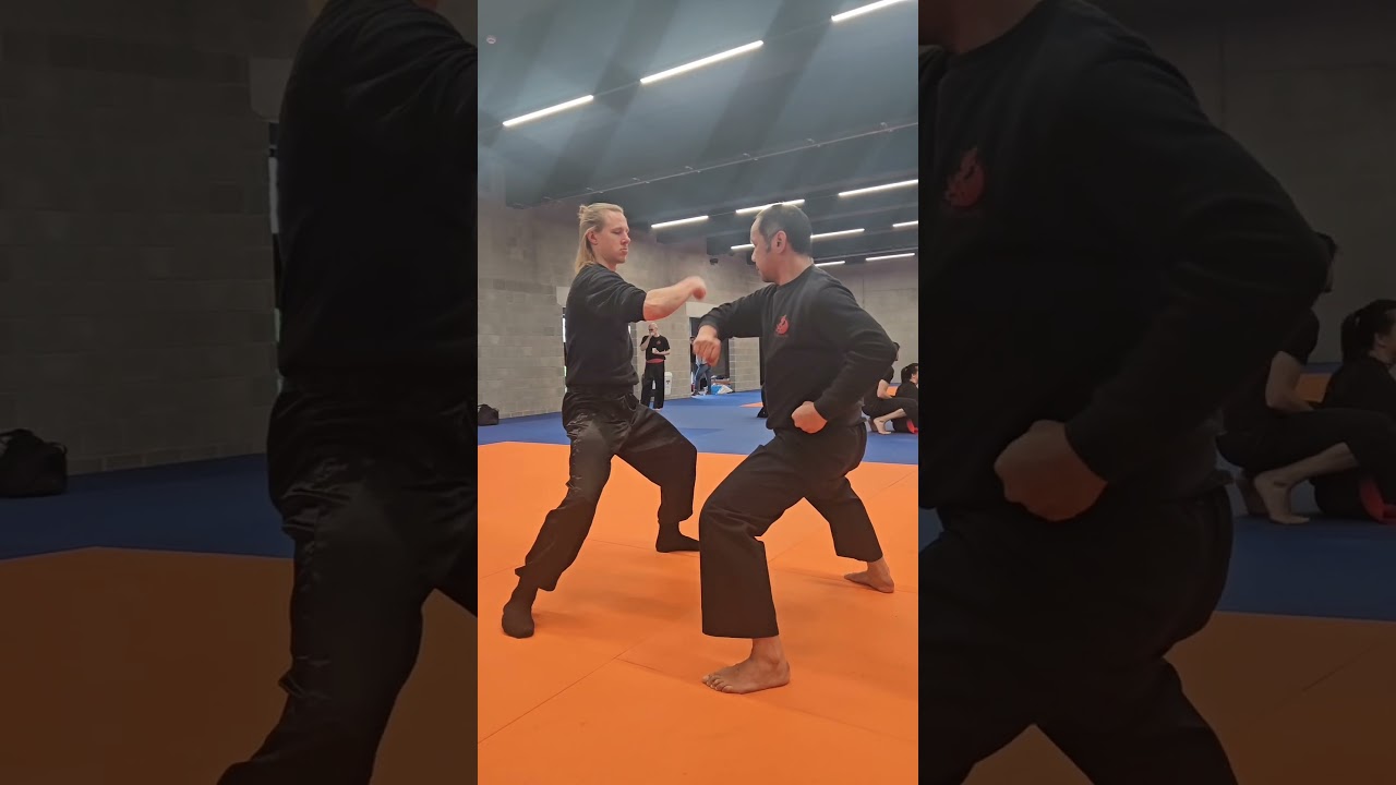 ☯️ Kung Fu pratimas su partneriu - metalinės rankos. Stiprinimas. Kovos menai.