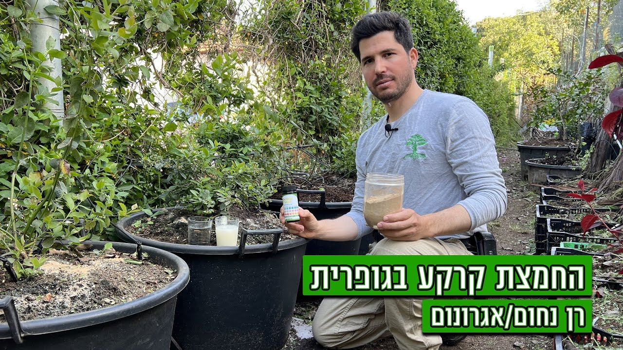החמצת קרקע בגופרית - גידול אוכמניות