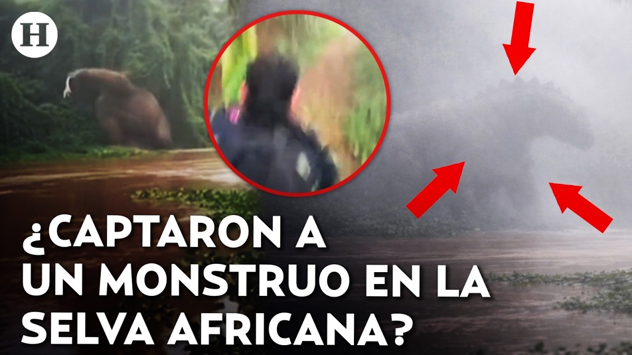 ¡Algo gigante salió del barro! Esta es la verdad tras el video viral de la extraña criatura en Congo