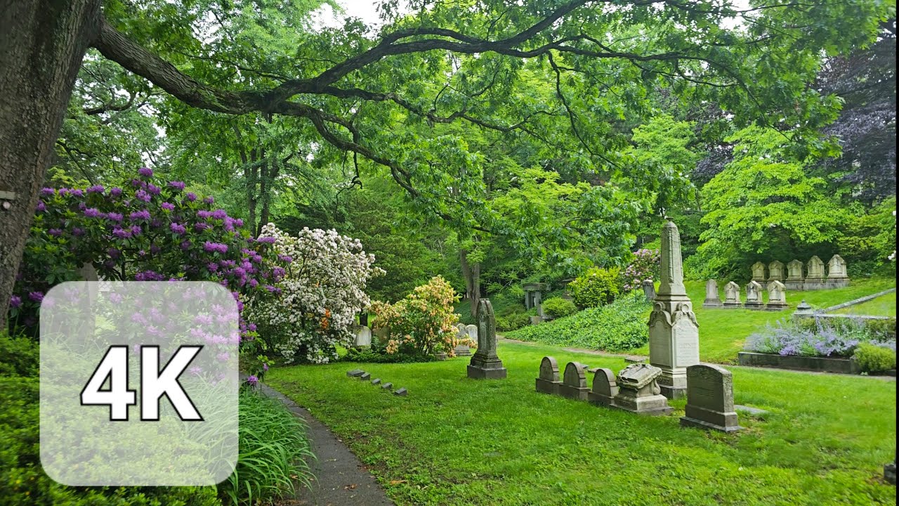 4K ASMR| Ambient Sounds, Peaceful Cemetery walk for relaxation, sleep, study.#asmr #peaceful #sleep