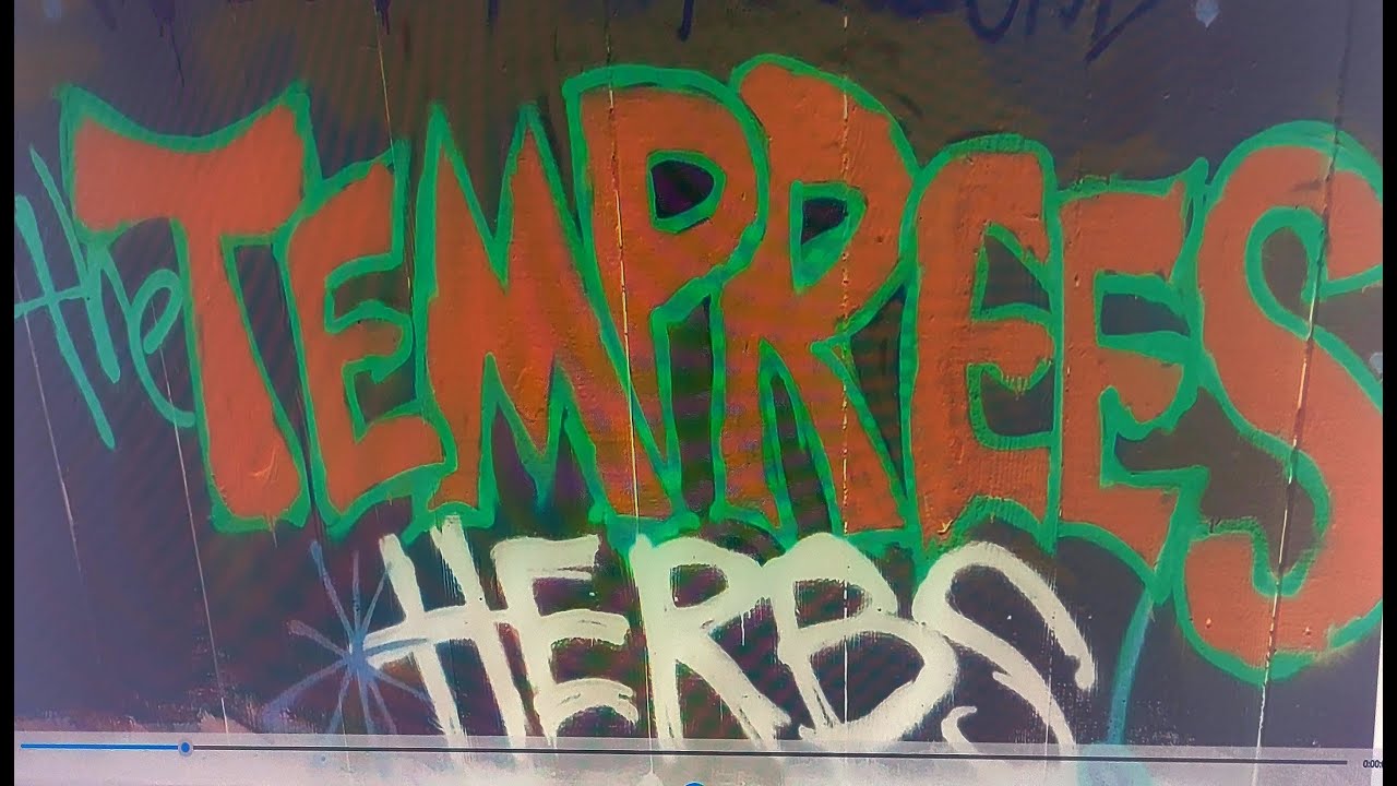 The Temprees - Dedicated To The One I Love (Instrumental)
