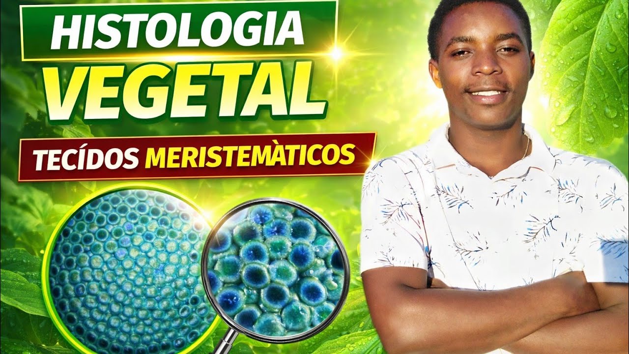 Aula 2: Tecidos meristemáticos: características, tipos e função.