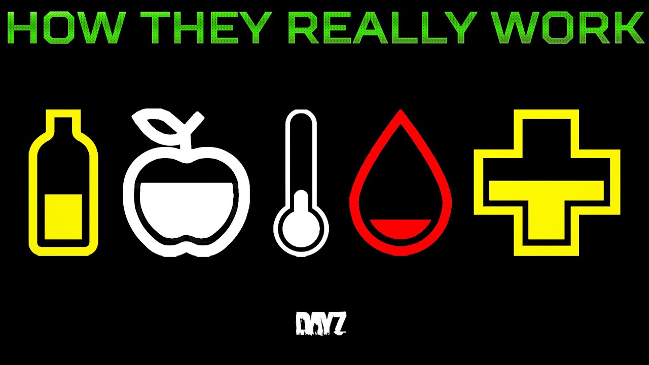 5 Stats You NEED to Understand in DayZ to Regen: Blood, Health, Hunger, Thirst & Temperature