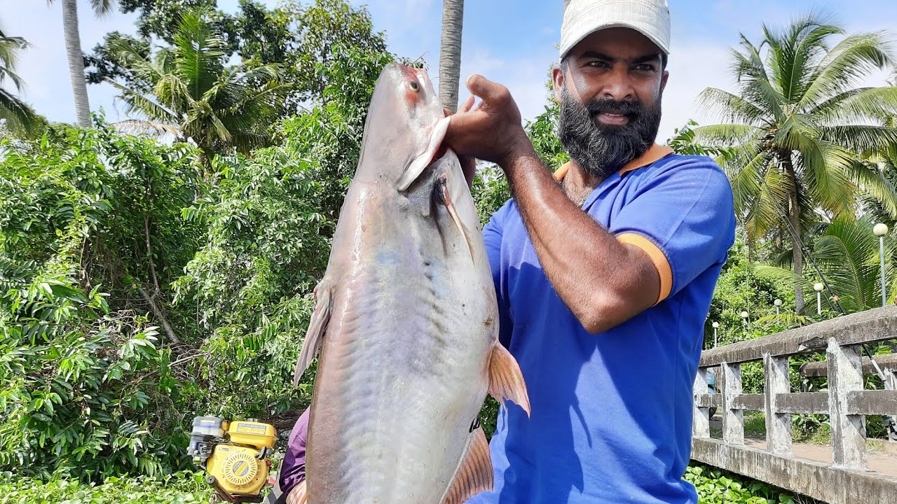 വേമ്പനാട് കായലിലെ മീൻപിടുത്തം  Part 2 ( vembanad lake fishing )