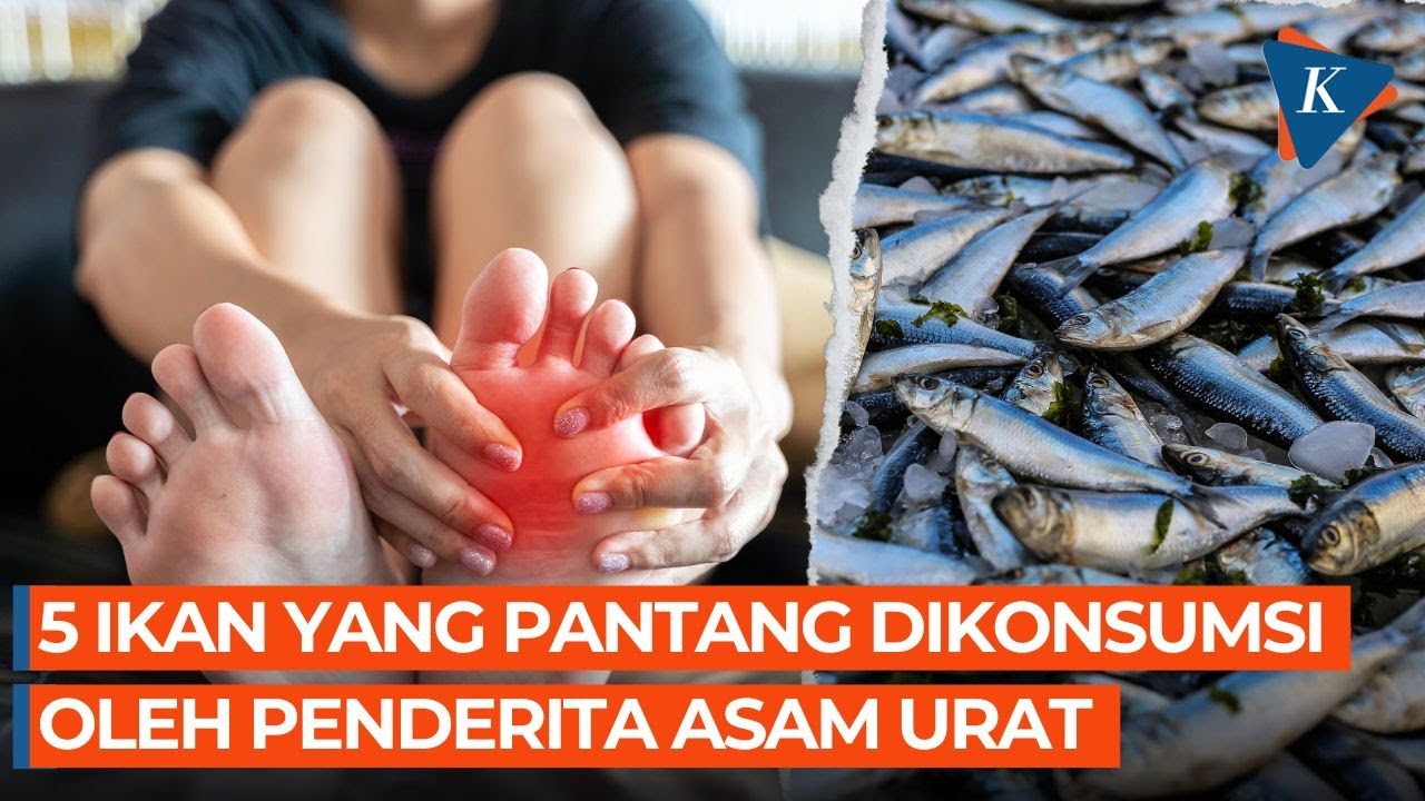 5 Ikan Ini Pantang Dikonsumsi oleh Penderita Asam Urat