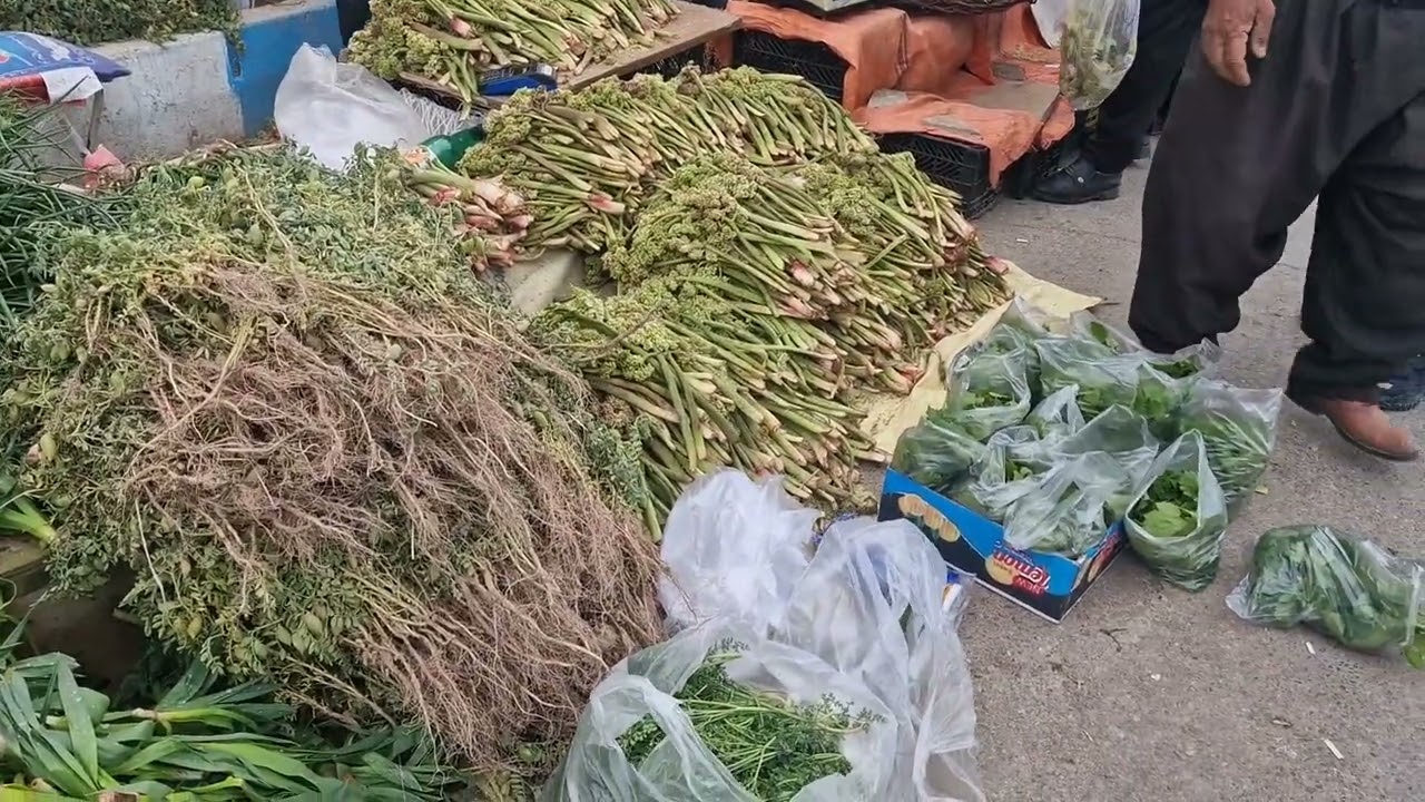 ایران شهر نوسود