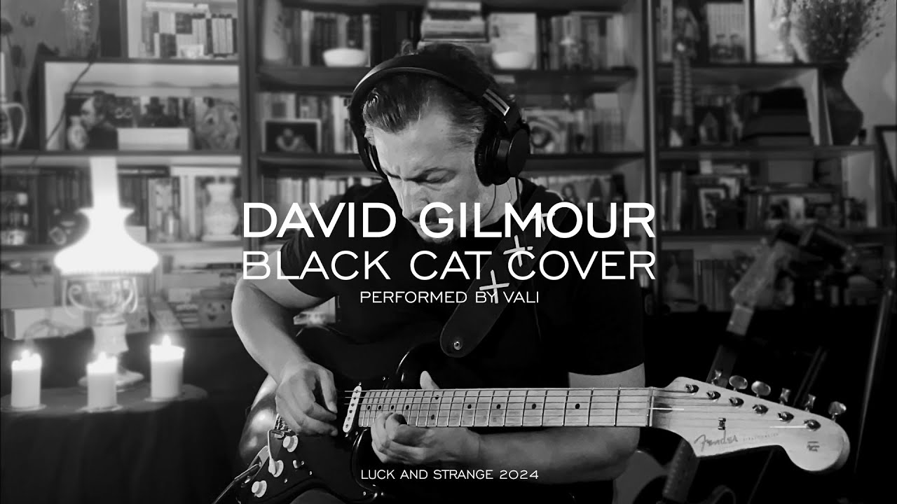 Black Cat (David Gilmour) - cover