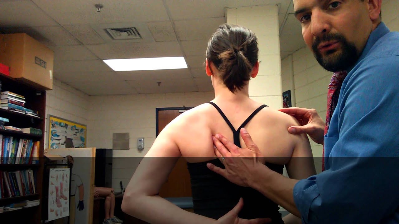 Shoulder Palpation Video
