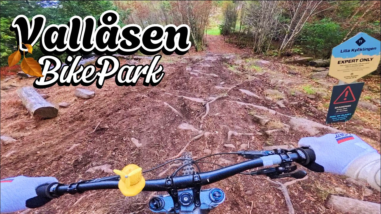 This Day Had a Bit of Everything… | Vallåsen BikePark