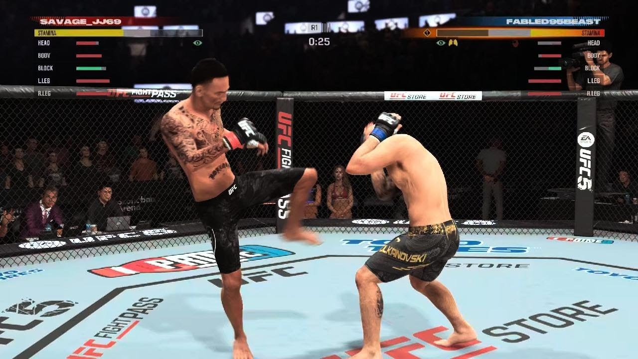 EA SPORTS UFC 5 Div 20 close game