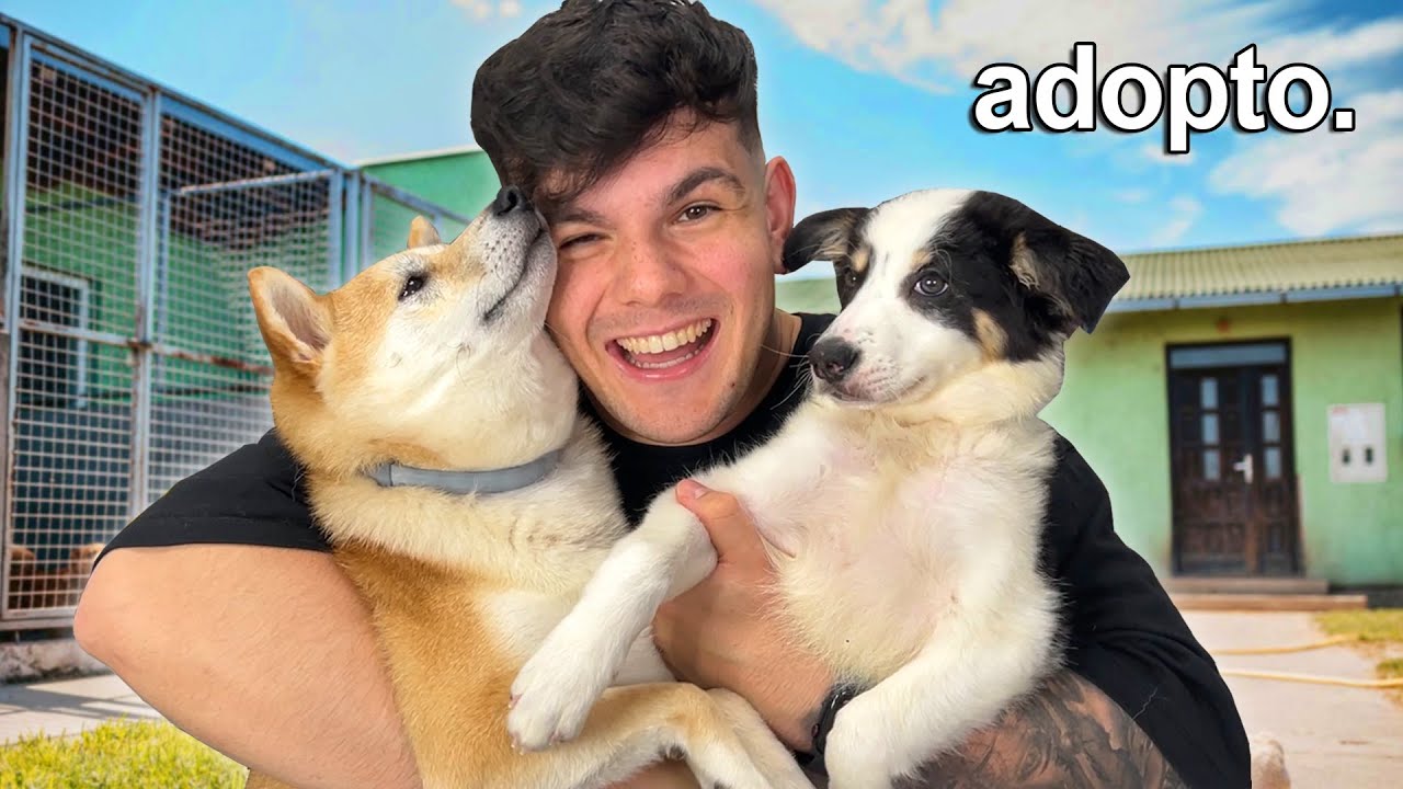 Adopt&eacute; una Hermana para mi Perro Depresivo