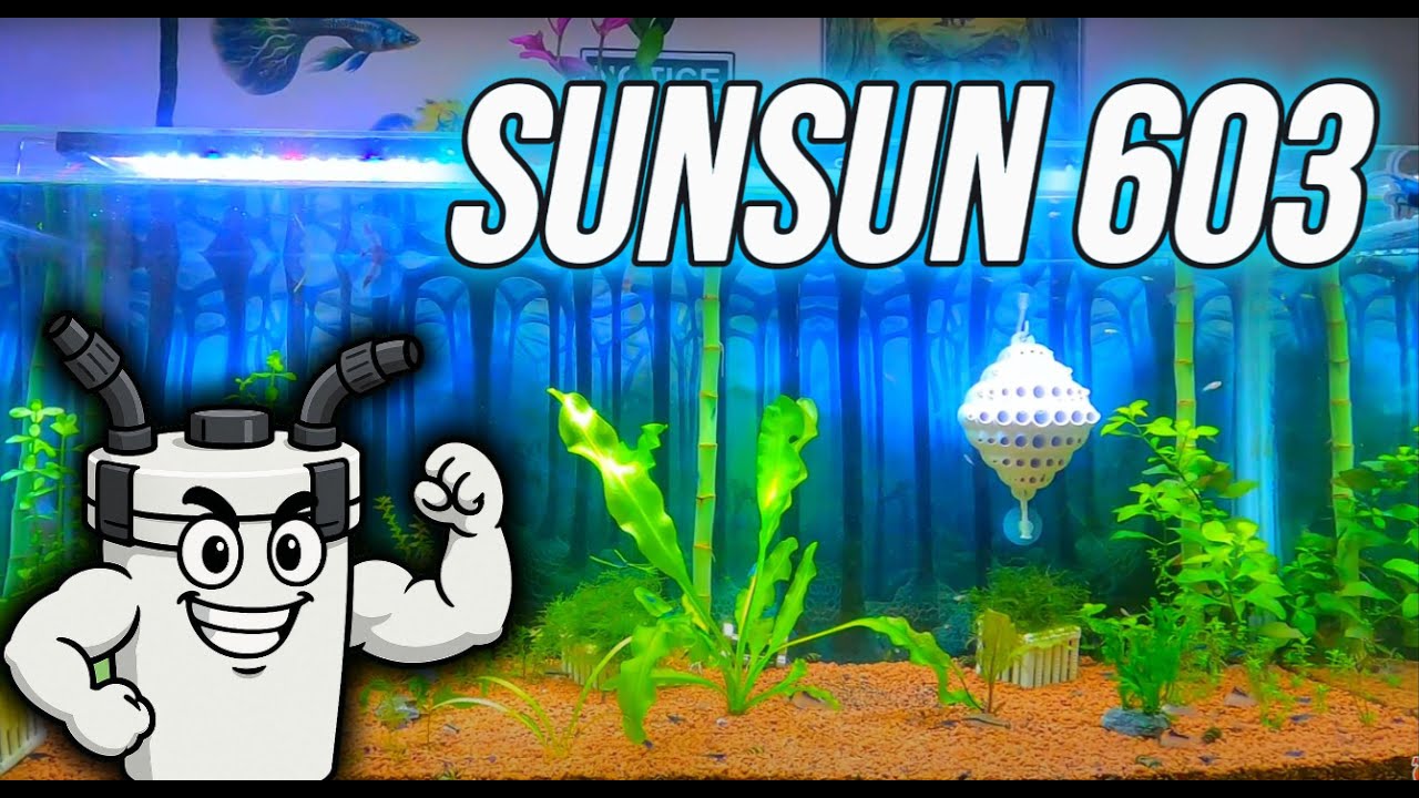 Самый подробный обзор внешнего фильтра SUNSUN 603B! (2024) #гуппи #аквариум