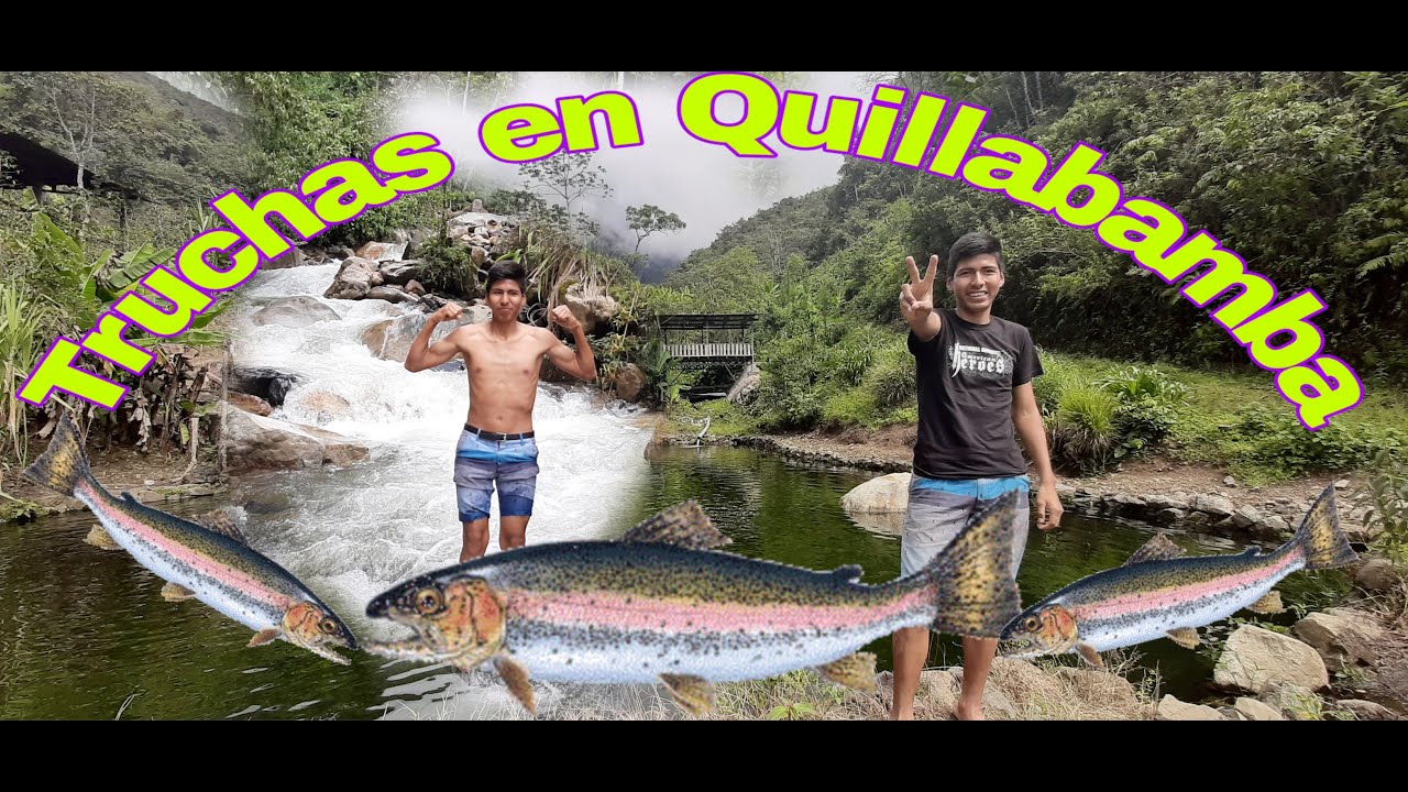 Conociendo una parte màs de Quillabamba