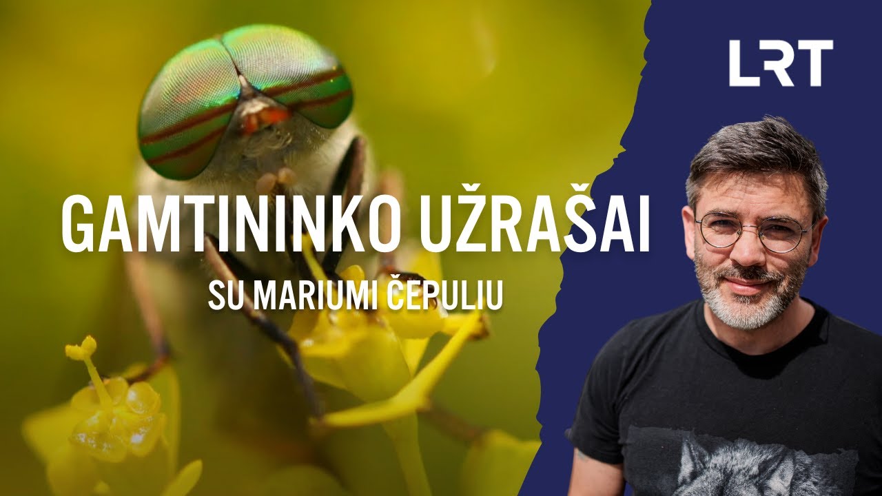 Gamtininko užrašai. Rūbų sluoksnius prieš alkanas muses pasitelkęs Čepulis