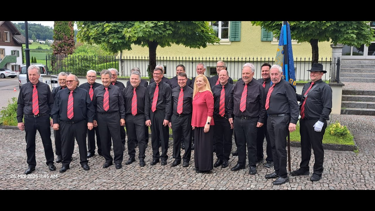 Kantonales Gesangsfest in Sins / 25.Mai 2025 / Männerchor Rothrist