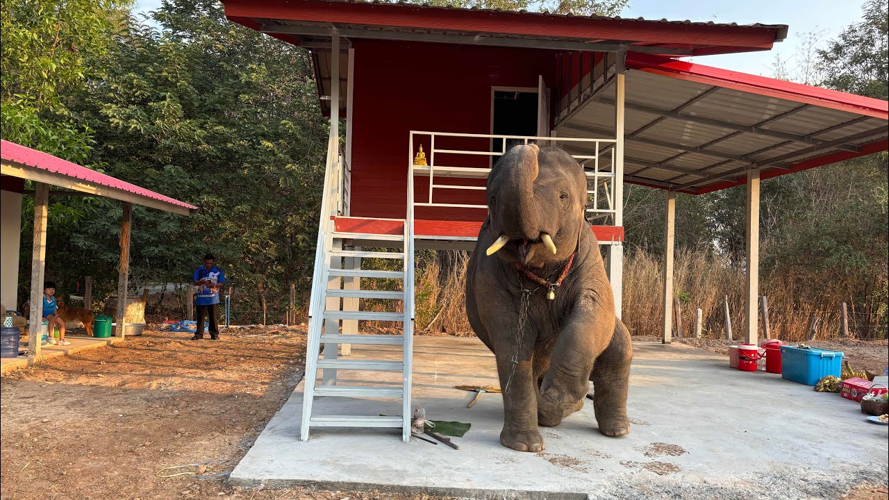 ดาวมงคล ไปเที่ยว บ้านสวน…