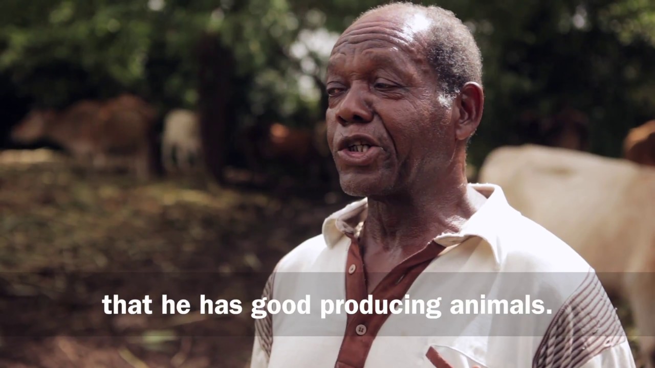 In the Life of a Nutramix Dairy Farmer feat. Derrick Walker Pt.1