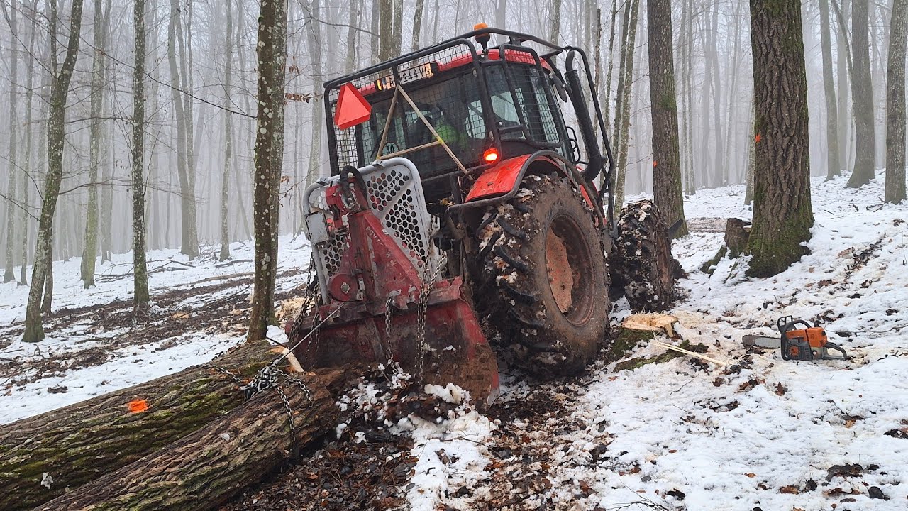 Уборка более толстых молодых порослей осины в дождливую погоду, Amles, MS 361, Zetor, Forestwork