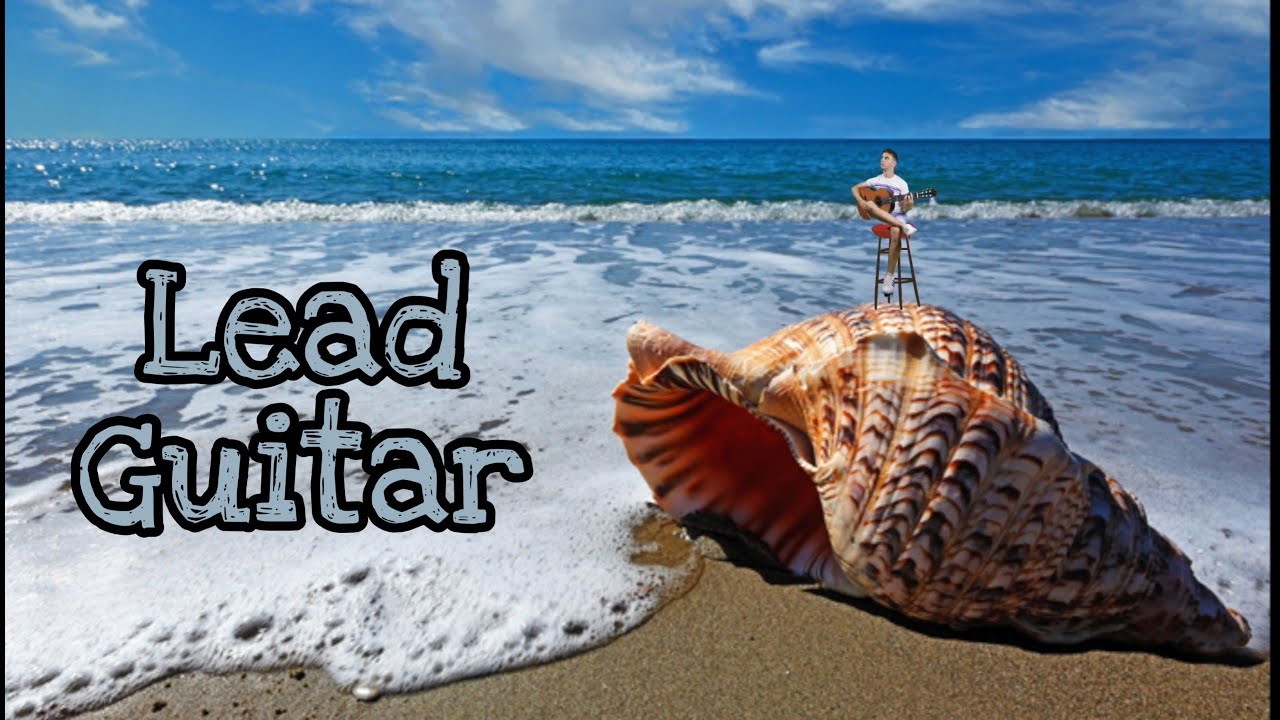 I'LL BE BACK - Isolated Lead Guitar | Setaibi