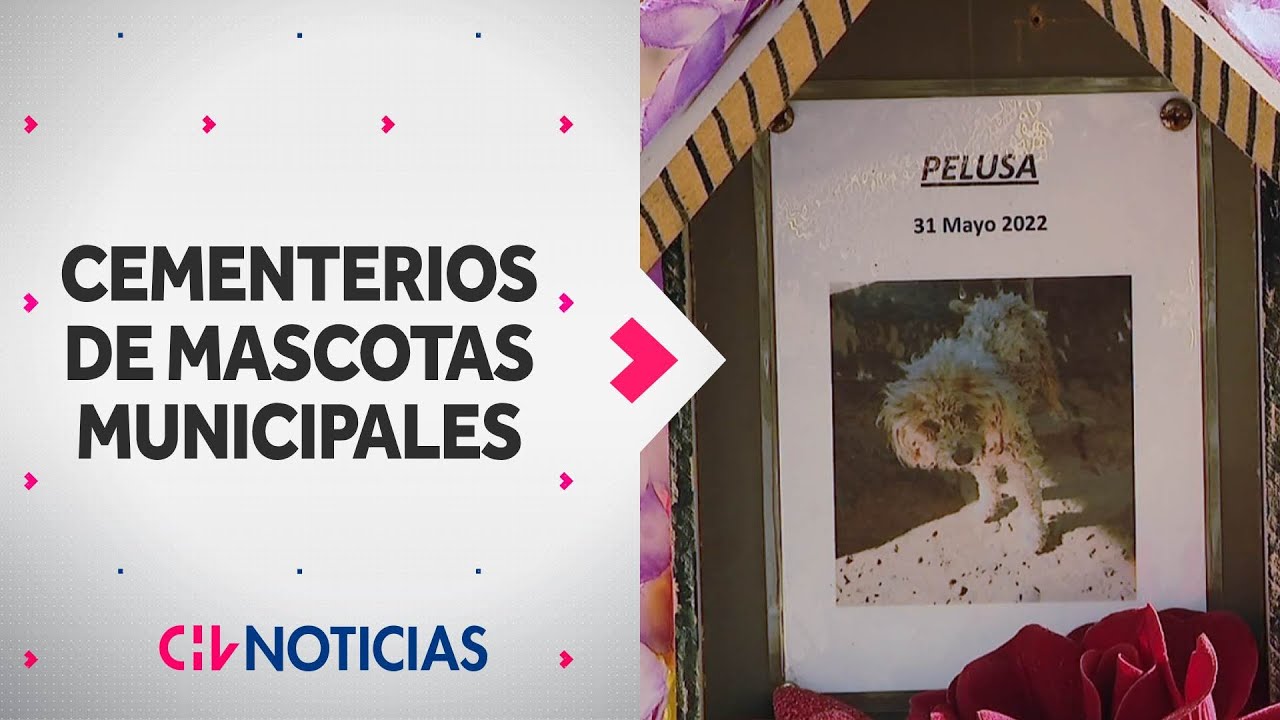 Anuncian cementerios de mascotas municipales: ¿Cuál es el procedimiento para darles sepultura?