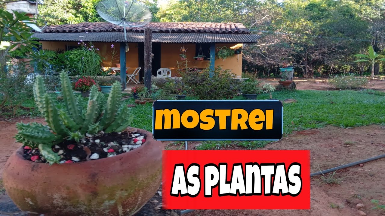 como e meu jardim na roça 💕