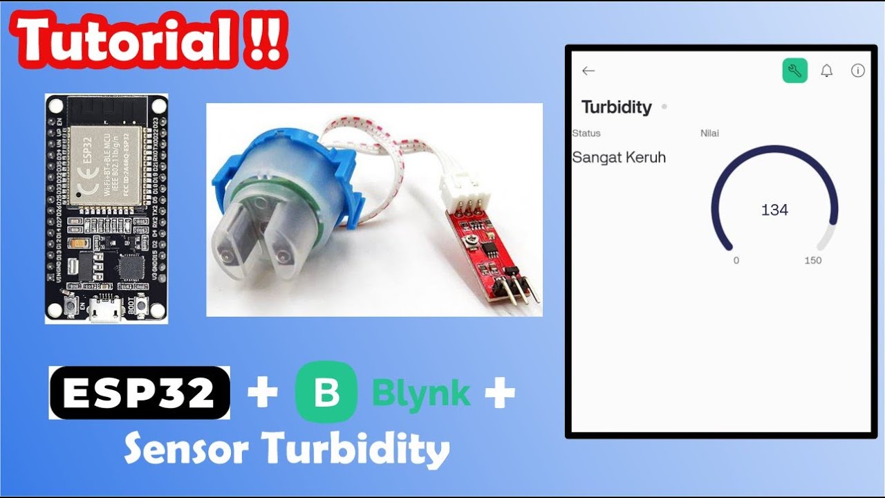 Bikin Alat Deteksi Air Keruh Pakai ESP32, Blynk IoT dan Sensor Turbidity! (Tutorial Mudah)