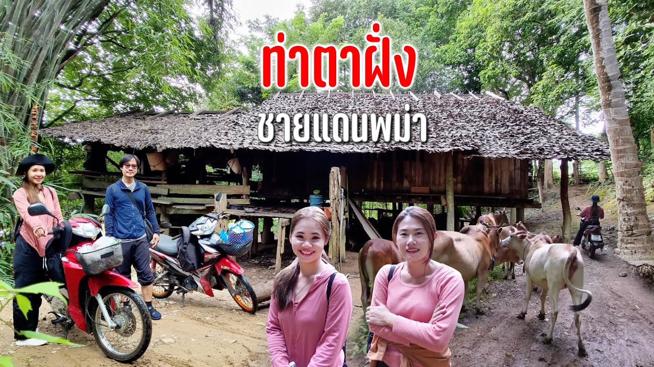 ทางดิบเลาะตะเข็บชายแดนสู่หมู่บ้านกะเหรี่ยงท่าตาฝั่งติดพม่าคืนนี้จะมีที่นอนไหม? #เดินทางตามลมสายฝน135