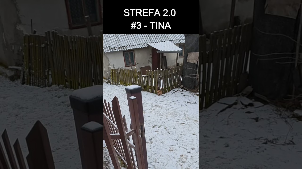 Strefa 2.0 #3 &ndash; Komenda jak z szkoleń K9