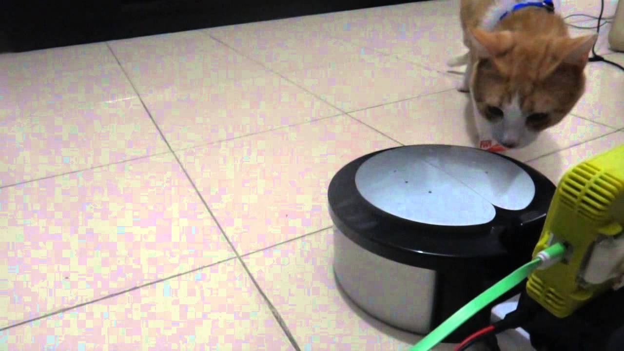 VIDEO   SISTEMA DE INTERACCION CON DISPENSADORES DE COMIDA BASADO EN IoT