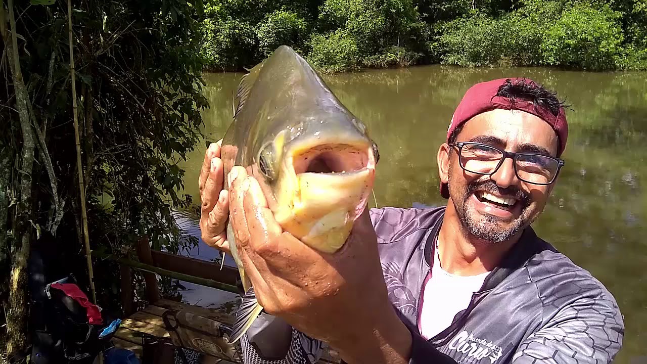 DEU PACU NA CEVA BRUTA